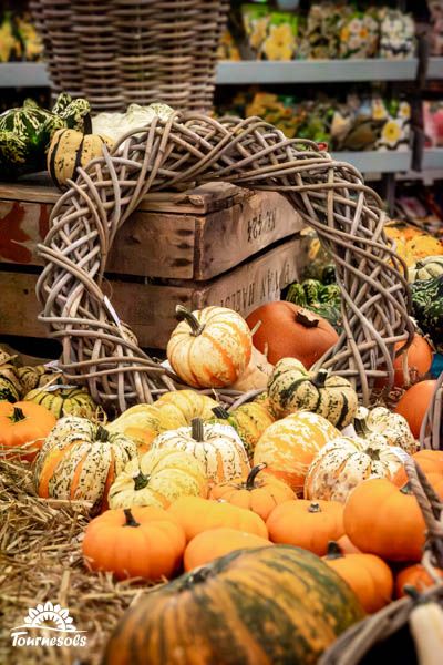 Jolies décorations automnales avec courges, feuilles d'érable et bougies parfumées pour une ambiance chaleureuse